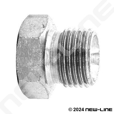 Stainless BSPP Hex Plug