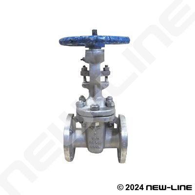 Stainless Steel Flanged 150# Gate Valve