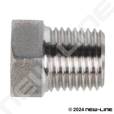 Stainless Male BSPT Hex Plug