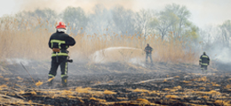 Fire & Forestry Protection