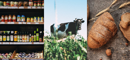 Food & Beverage